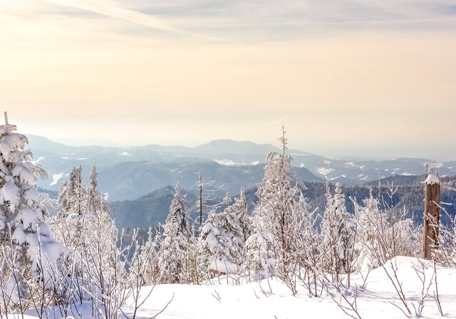 Sne i Winterberg